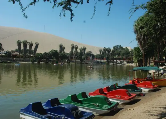 3D2N Tour from Lima airport to Paracas, Ica, Huacachina + Nazca Lines